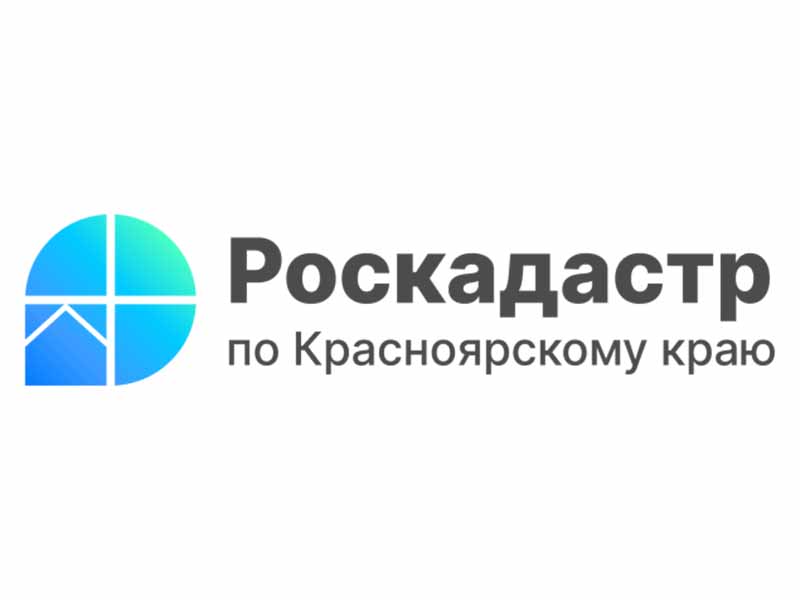 В краевом Роскадастре ответили на вопрос о приватизации.